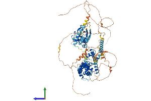 Protein Structure (PS) image for SATB Homeobox 1 (SATB1) (AA 1-764) protein (His tag) (ABIN7563867)