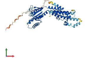 AlphaFold protein structure predicition of Mouse Recombinant Irgm1 Protein, UniprotID Q60766