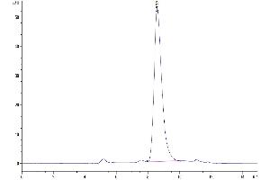The purity of Human FAM3D is greater than 95 % as determined by SEC-HPLC.