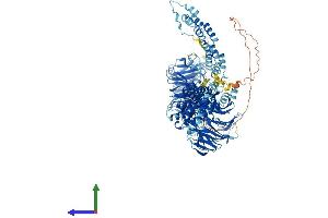 Protein Structure (PS) image for Coatomer Protein Complex, Subunit alpha (COPA) (AA 1-1224) protein (His tag) (ABIN7553551)