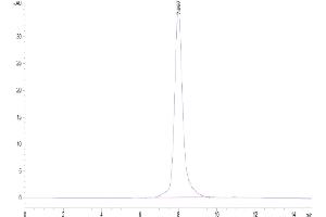 The purity of Rhesus macaque Siglec-2 is greater than 95 % as determined by SEC-HPLC.