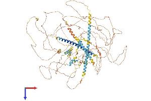 AlphaFold protein structure predicition of Human Recombinant MAML2 Protein, UniprotID Q8IZL2 (MAML2 Protein (AA 1-1156) (His tag))