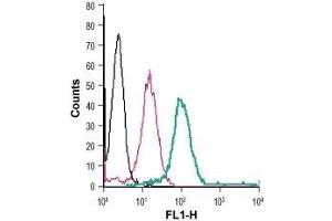 Cell surface detection of GLP1R in live intact human THP-1 monocytic leukemia cells: (black line) Cells. (GLP1R antibody  (2nd Extracellular Loop) (FITC))