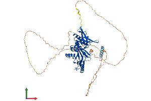AlphaFold protein structure predicition of Mouse Recombinant Syn3 Protein, UniprotID Q8JZP2 (Synapsin III Protein (SYN3) (AA 1-579) (His tag))