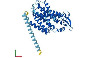 AlphaFold protein structure predicition of Mouse Recombinant Tmem19 Protein, UniprotID Q91W52 (TMEM19 Protein (AA 1-336) (His tag))