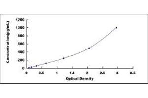Typical standard curve (Annexin a10 ELISA Kit)