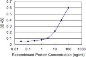 Detection limit for recombinant GST tagged MERTK is 1 ng/ml as a capture antibody. (MERTK antibody  (AA 21-120))