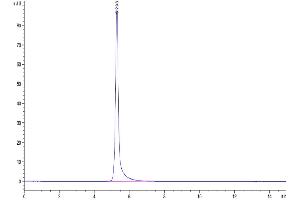 Size-exclusion chromatography-High Pressure Liquid Chromatography (SEC-HPLC) image for Tumor Necrosis Factor Receptor Superfamily, Member 1B (TNFRSF1B) (AA 23-257) protein (mFc Tag) (ABIN7275765)