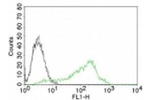 Flow Cytometry (FACS) image for anti-Nucleolin (NCL) antibody (ABIN3025707)