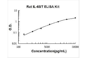 Interleukin 6 Signal Transducer (Gp130, Oncostatin M Receptor) (IL6ST) ELISA Kit