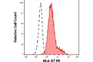 Separation of human lymphocytes of HLA-B7 positive blood donor (red-filled) from human lymphocytes of HLA-B7 negative blood donor (black-dashed) in flow cytometry analysis (surface staining) of human peripheral whole blood samples stained using anti-HLA-B7 (BB7. (HLA B7 antibody  (PE))