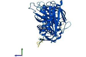 AlphaFold protein structure predicition of Human Recombinant RCL1 Protein, UniprotID Q9Y2P8 (RCL1 Protein (AA 1-373) (His tag))