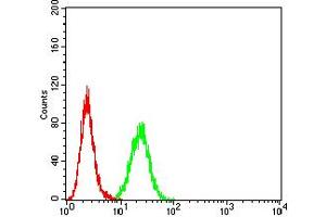 Flow cytometric analysis of Hela cells using AXIN1 mouse mAb (green) and negative control (red). (Axin antibody  (AA 546-752))