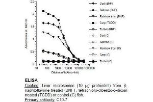 ELISA image for anti-Cytochrome P450 1A (CYP1A) antibody (ABIN108737) (CYP1A antibody)