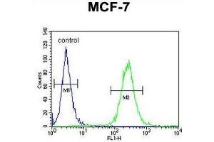 UPF2 Antibody (Center) flow cytometric analysis of MCF-7 cells (right histogram) compared to a negative control cell (left histogram). (RENT2/UPF2 antibody  (Middle Region))