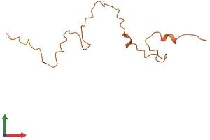 AlphaFold protein structure predicition of Mouse Recombinant Krtap19-1 Protein, UniprotID Q925H2 (Keratin Associated Protein 19-1 (KRTAP19-1) (AA 1-87) protein (Fc Tag))