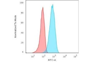 Flow Cytometric Analysis of Raji cells. (CD19 antibody)