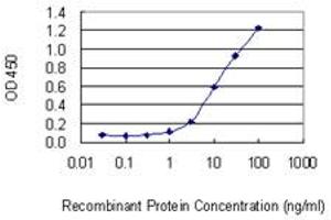 Detection limit for recombinant GST tagged UBE2DNL is 0. (UBE2DNL antibody  (AA 1-75))