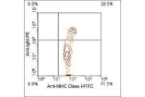 Flow Cytometry (FACS) image for anti-MHC, Class I antibody (FITC) (ABIN371395) (MHC, Class I antibody  (FITC))