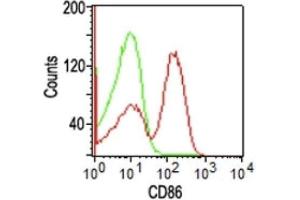 Flow Cytometry of human PBMCs using CD86 Monoclonal Antibody (BU63). (CD86 antibody  (FITC))