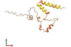 Protein Structure (PS) image for Long Intergenic Non-Protein Coding RNA 311 (LINC00311) (AA 1-119) protein (His tag) (ABIN7544447)