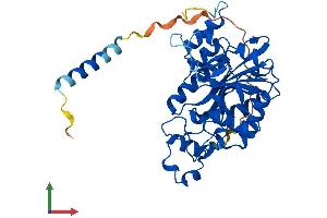 AlphaFold protein structure predicition of Mouse Recombinant B3gnt3 Protein, UniprotID Q5JCS9