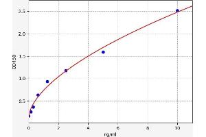 Calmodulin 1 ELISA Kit