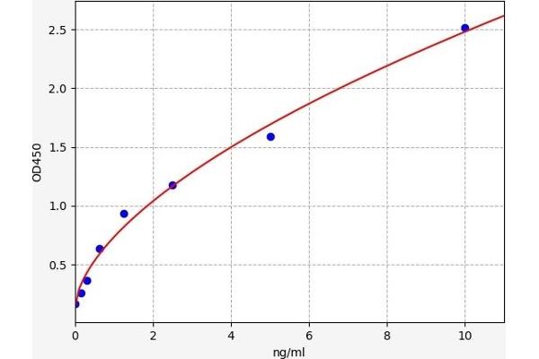 Calmodulin 1 ELISA Kit