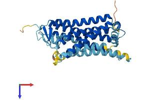 Olfactory Receptor, Family 6, Subfamily X, Member 1 (OR6X1) (AA 1-312) protein (His tag)