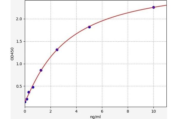 CRCP ELISA Kit