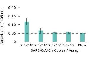 Because a SARS-CoV-2 virus contains single-stranded RNA, the RNA copies on the x-axis correspond to the number of virions. (SARS-CoV-2 Nucleocapsid antibody)