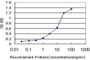 Detection limit for recombinant GST tagged CAPN9 is approximately 0. (Calpain 9 antibody  (AA 591-690))