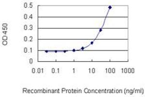 Detection limit for recombinant GST tagged POLR1B is 3 ng/ml as a capture antibody. (POLR1B antibody  (AA 963-1072))