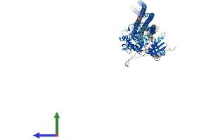 AlphaFold protein structure predicition of Human Recombinant TAOK3 Protein, UniprotID Q9H2K8