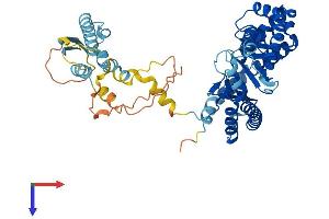 Protein Structure (PS) image for T Cell Activation Inhibitor, Mitochondrial (TCAIM) (AA 1-496) protein (His tag) (ABIN7544243)