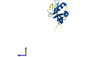 AlphaFold protein structure predicition of Human Recombinant POP7 Protein, UniprotID O75817 (POP7 Protein (AA 1-140) (His tag))