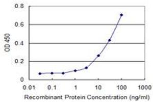 Detection limit for recombinant GST tagged APOL6 is 0. (APOL6 antibody  (AA 1-76))