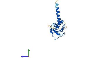 Protein Structure (PS) image for GSK3B interacting protein (GSKIP) (AA 1-139) protein (His tag) (ABIN7548213)