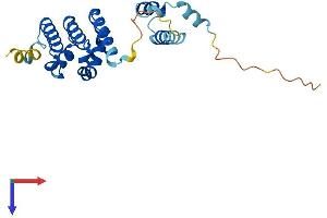 Protein Structure (PS) image for Stromal Antigen 3-Like 1 (STAG3L1) (AA 1-205) protein (His tag) (ABIN7544032)