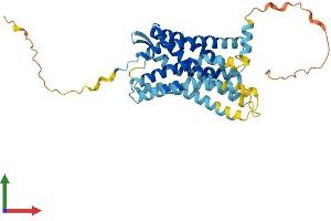 Protein Structure (PS) image for Chemokine (C-C Motif) Receptor 10 (CCR10) (AA 1-362) protein (His tag) (ABIN7561662)