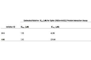 Activity of Ambroxol Hydrochloride (AMB) and Bromhexine Hydrochloride (BHH) against rhACE2 and SARS-CoV-2 Spike (RBD) protein Interaction. (COVID-19 Spike-ACE2 Binding Assay Kit)