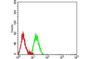 Flow cytometric analysis of Raji cells using CD227 mouse mAb (green) and negative control (red). (MUC1 antibody  (AA 66-175))