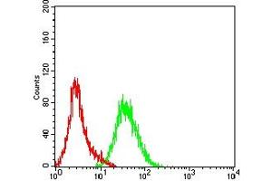 Flow cytometric analysis of Hela cells using CD131 mouse mAb (green) and negative control (red). (CD131 antibody  (AA 17-149))