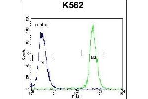 Flow Cytometry (FACS) image for anti-Nudix (Nucleoside Diphosphate Linked Moiety X)-Type Motif 19 (NUDT19) (AA 153-181) antibody (ABIN655443)