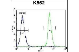 NUDT19 Antibody (Center) (ABIN655443 and ABIN2844974) flow cytometric analysis of K562 cells (right histogram) compared to a negative control cell (left histogram).