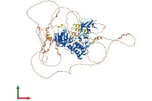 AlphaFold protein structure predicition of Human Recombinant MAP3K14 Protein, UniprotID Q99558