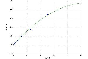 Caspase 4, Apoptosis-Related Cysteine Peptidase (CASP4) ELISA Kit