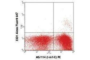 Flow Cytometry (FACS) image for anti-DC Marker antibody (Alexa Fluor 647) (ABIN2657883) (DC Marker antibody (Alexa Fluor 647))