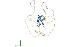 AlphaFold protein structure predicition of Human Recombinant ELK3 Protein, UniprotID P41970 (ELK3 Protein (AA 1-407) (His tag))