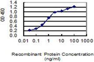 Detection limit for recombinant GST tagged C15orf55 is 0. (NUT (AA 1033-1132) antibody)
